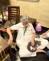 cat trainers in mumbai Cat Café Studio Adoptions