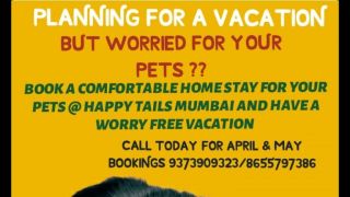dog hotels mumbai Happy Tails mumbai pet boarding