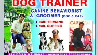 canine trainers mumbai Mahesh Baviskar Dog Trainer in Navi Mumbai