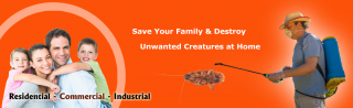 termites mumbai Ace pesticides services