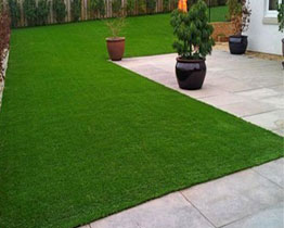 Artifical Grass Carpet
