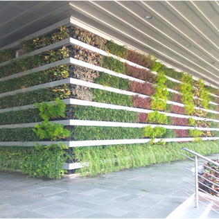 vertical garden mumbai JKD HortiTech