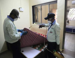 fumigation companies in mumbai Ankita Pest Control Services (Mahim)