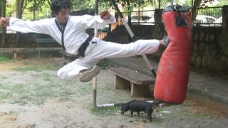 taekwondo gyms mumbai EURO TAEKWONDO/CARDIO KICKBOXING ACADEMY (MUMBAI)