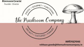 mushroom stores mumbai The Mushroom Company, Mumbai