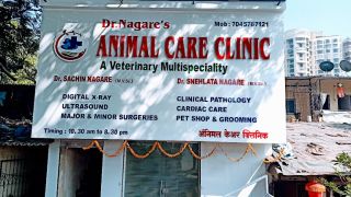 free veterinarian mumbai Dr. Nagare's Animal Care Clinic : Pet Clinic | Veterinary Hospital | Animal doctor | Pet Shop | Surgical center