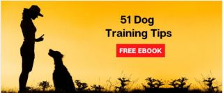 dog handlers in mumbai Shirin Merchant - Canine Behaviourist and Trainer